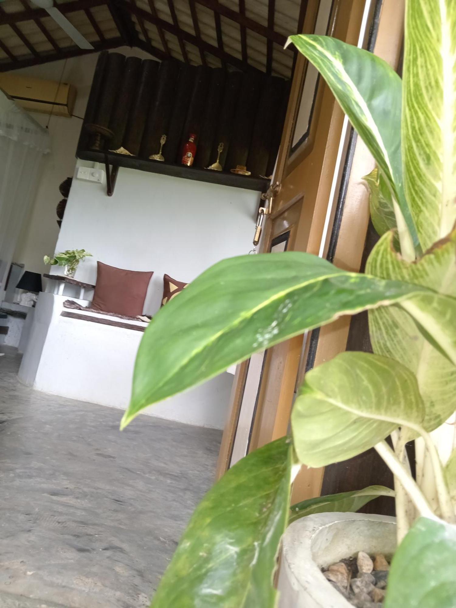 Hathawariya Green View Cabin Talpe Extérieur photo